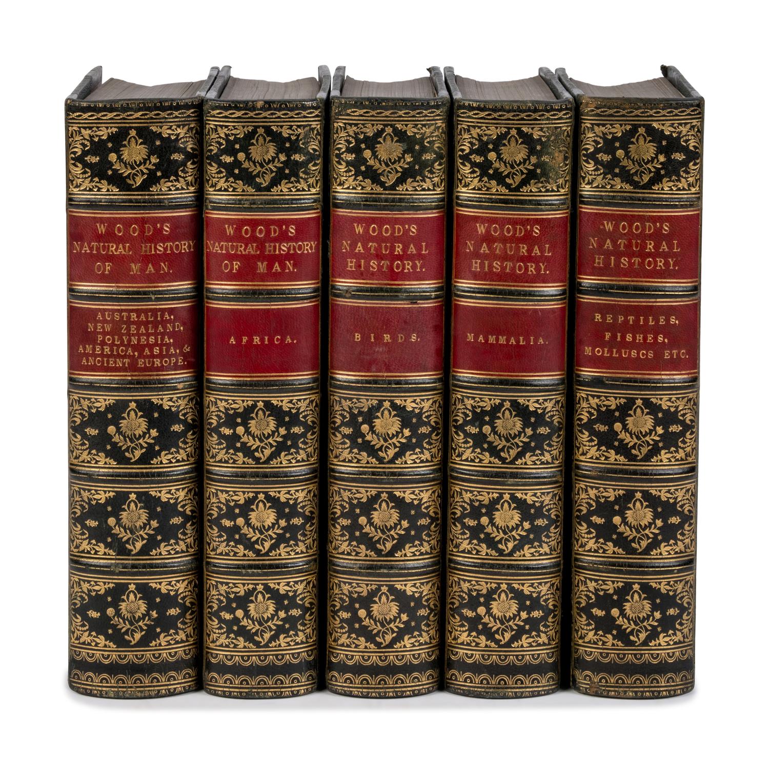 [Natural History] Wood, John George. The Illustrated Natural History
