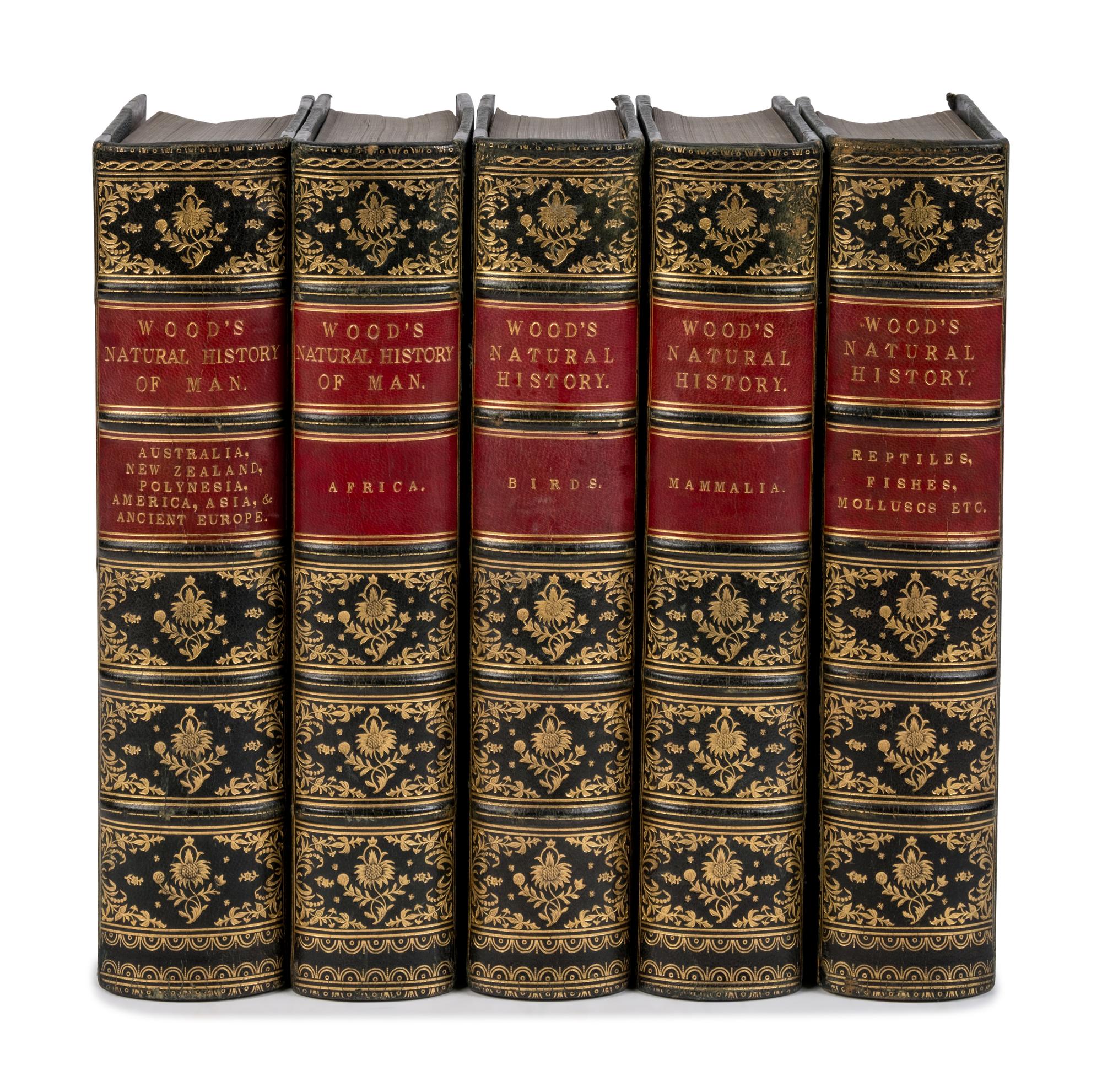 [Natural History] Wood, John George. The Illustrated Natural History