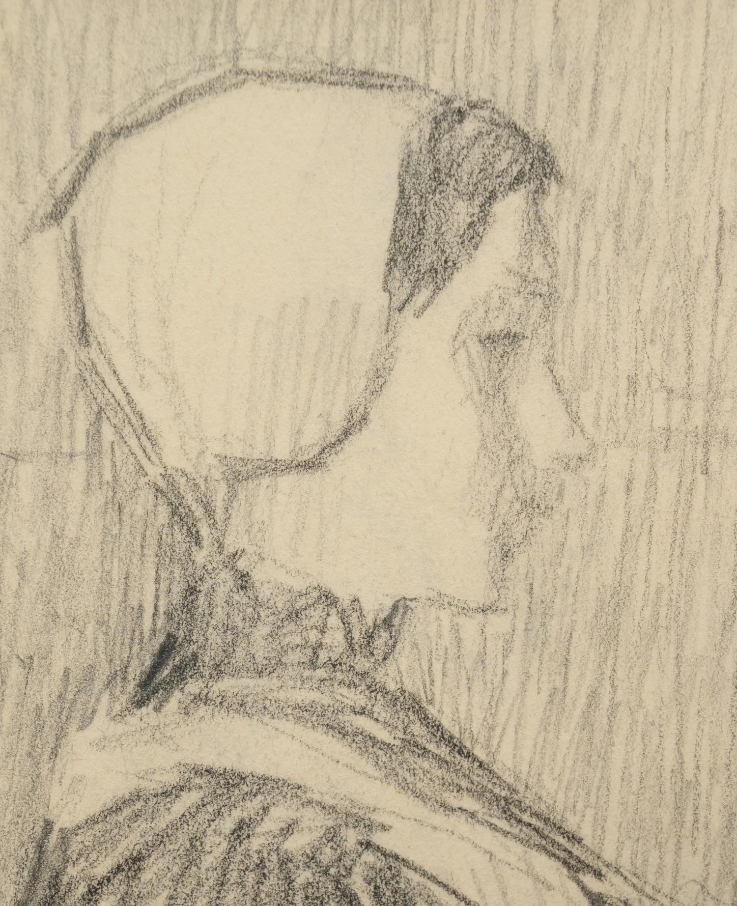 Flamande, c. 1899