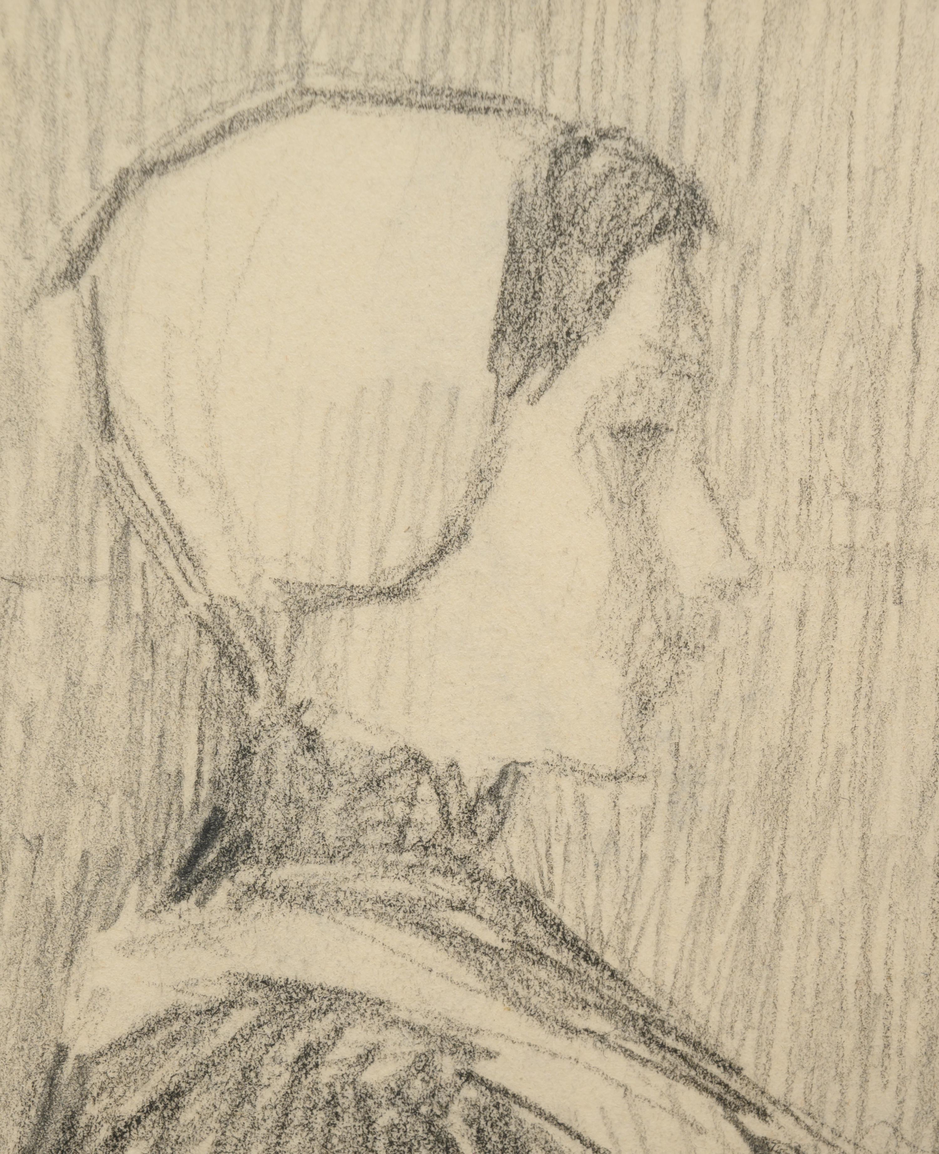 Flamande, c. 1899