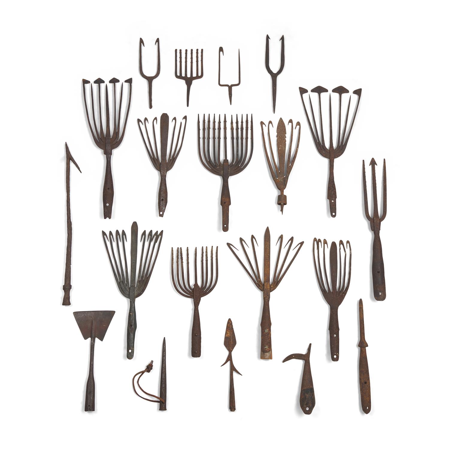A Collection of Twenty-One Wrought Iron Eel Forks and Whaling Implements