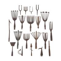A Collection of Twenty-One Wrought Iron Eel Forks and Whaling Implements