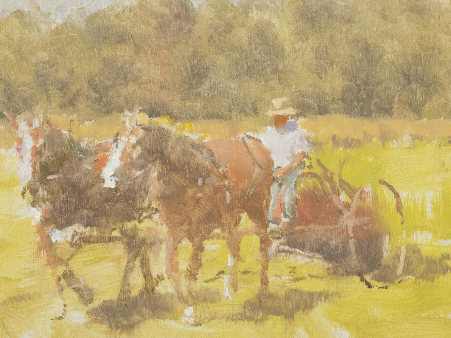 Mowing Hay