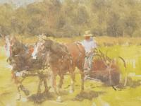 Mowing Hay