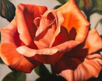 Winifred Godfrey, (American, b. 1944), Flower