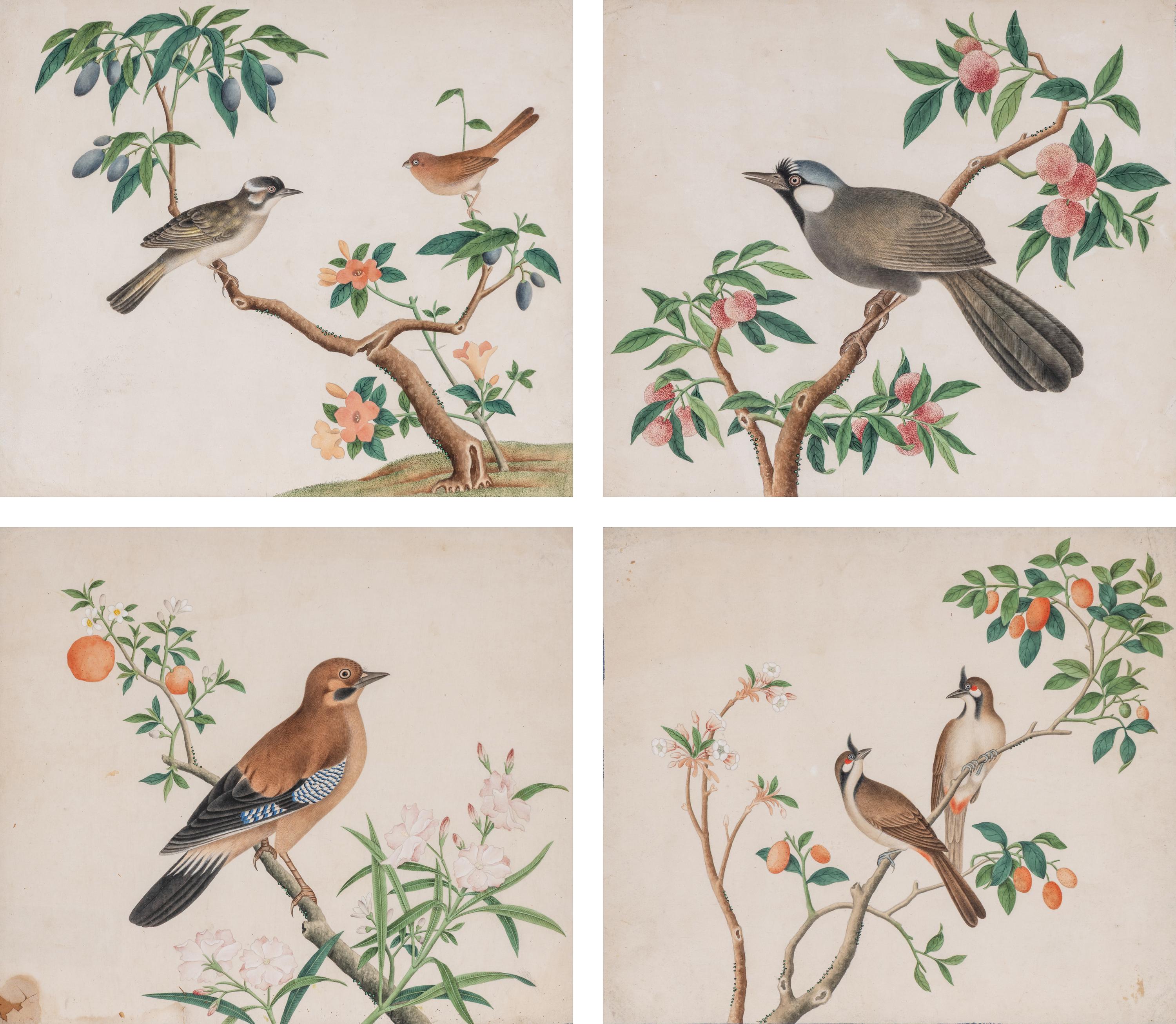 A Set of Four Chinese Watercolor Paintings