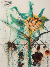 Sun Goddess Flower