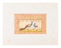 Four Indian and Islamic Miniature Paintings Depicting Birds