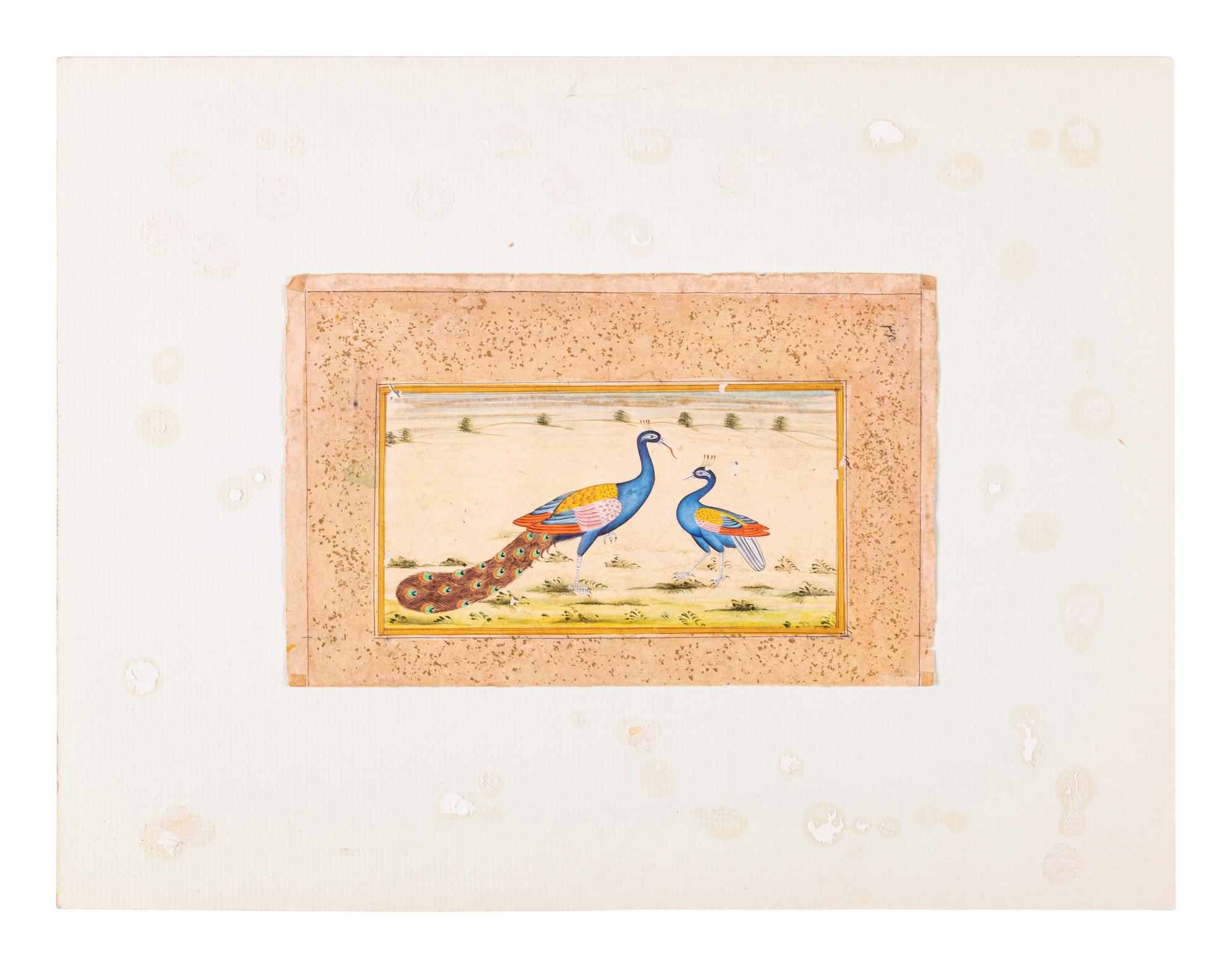 Four Indian and Islamic Miniature Paintings Depicting Birds