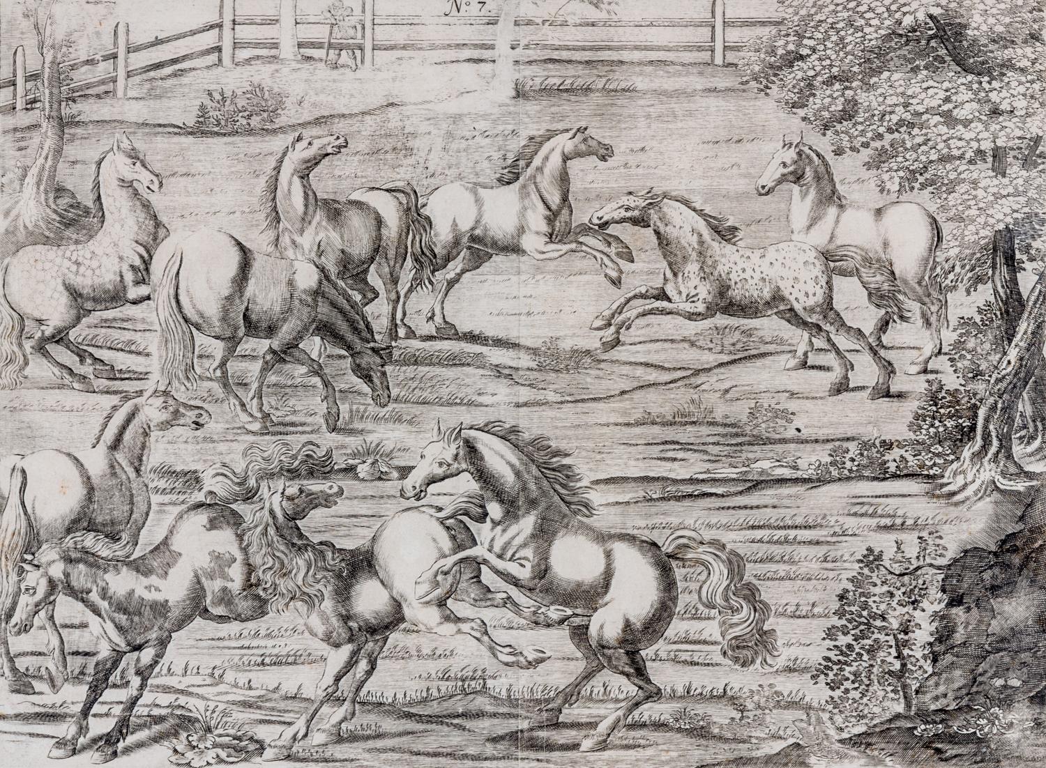 Artists Unknown, (17th/18th century), Horse, Horse and Rider and Horses (three works)