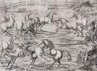 Artists Unknown, (17th/18th century), Horse, Horse and Rider and Horses (three works)