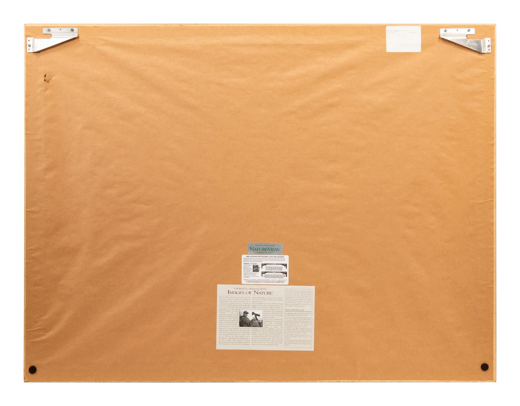 Edge of Fall , edition 187/2500