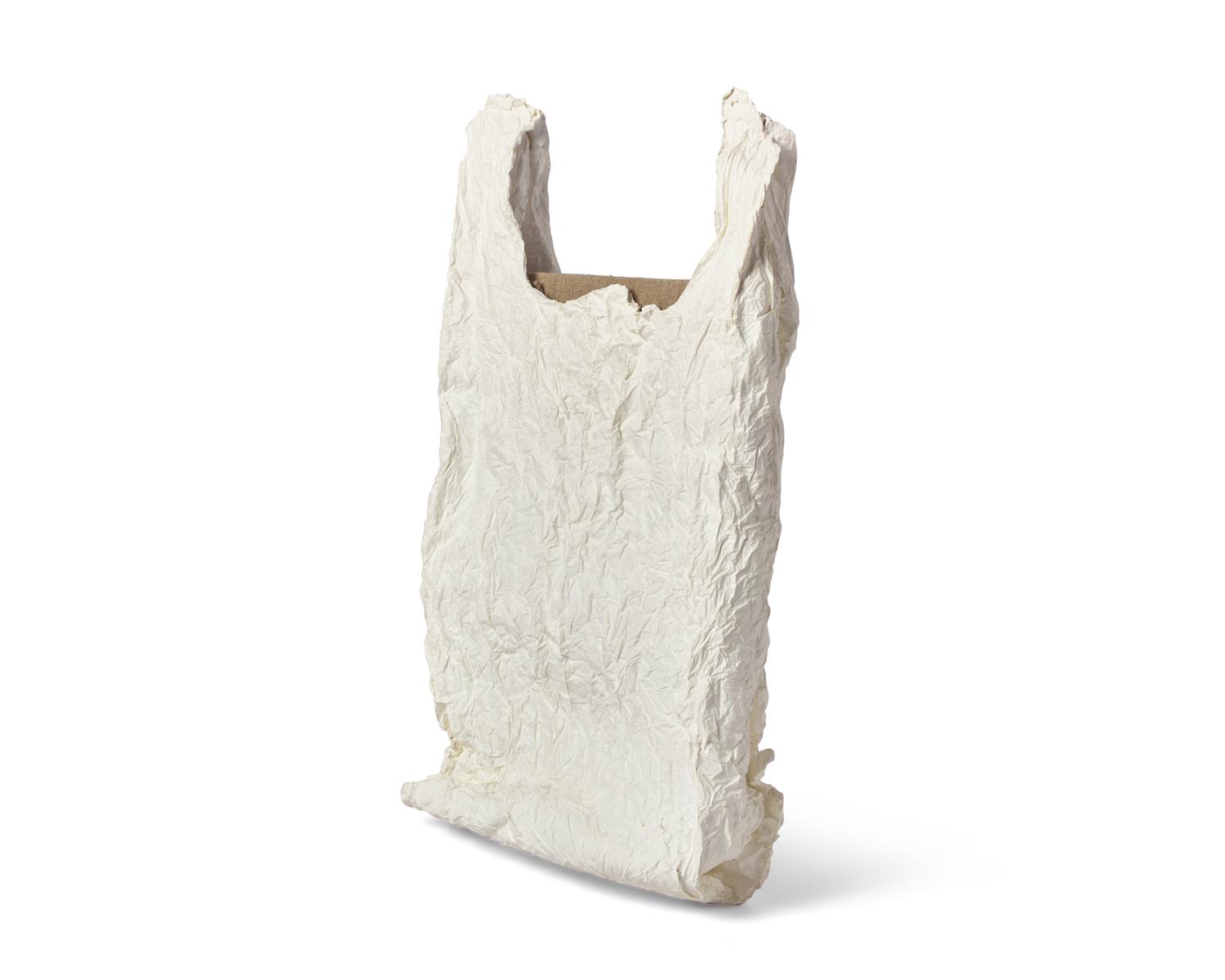 Bag With Canvas #1 , 2011