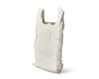 Bag With Canvas #1 , 2011