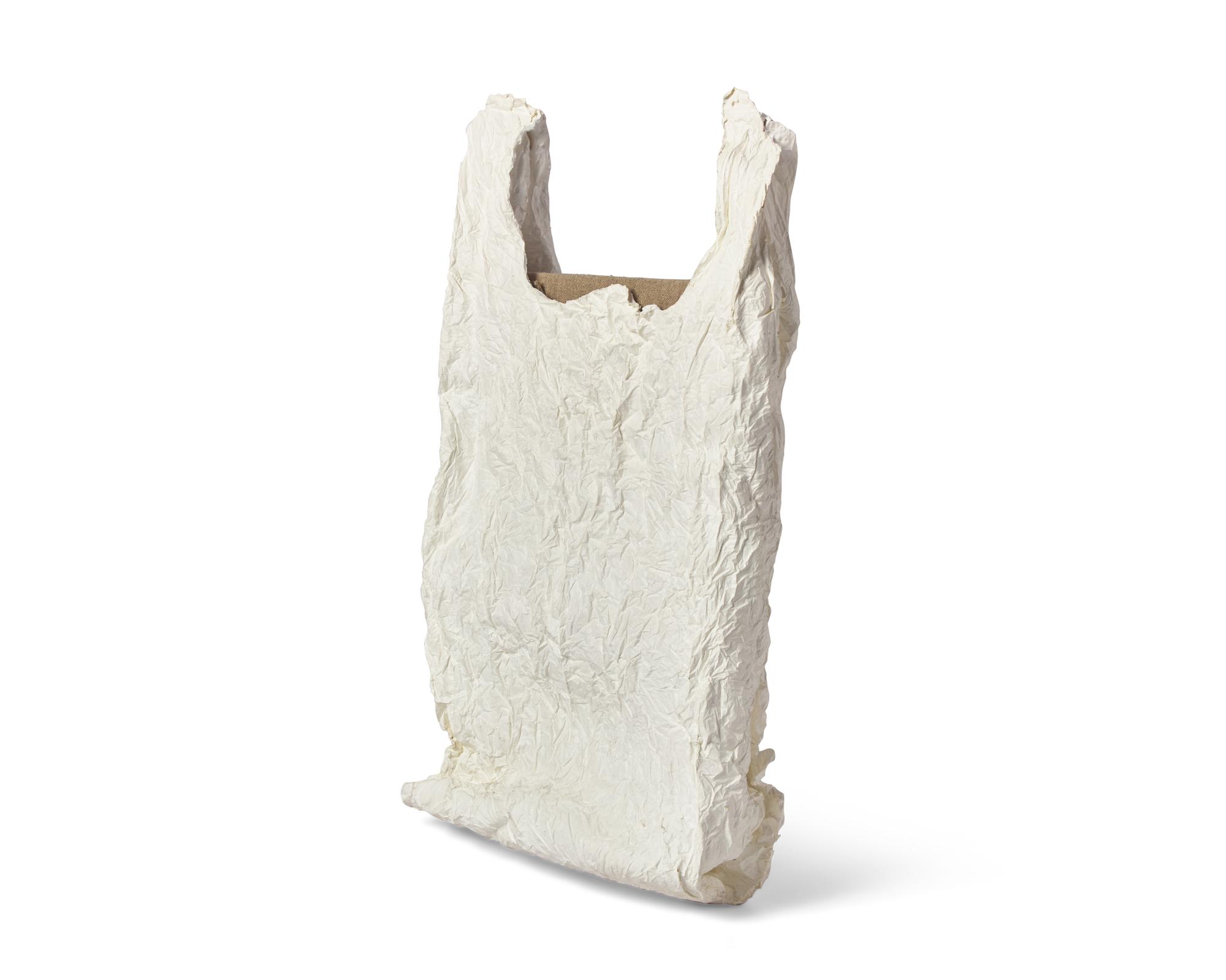 Bag With Canvas #1 , 2011