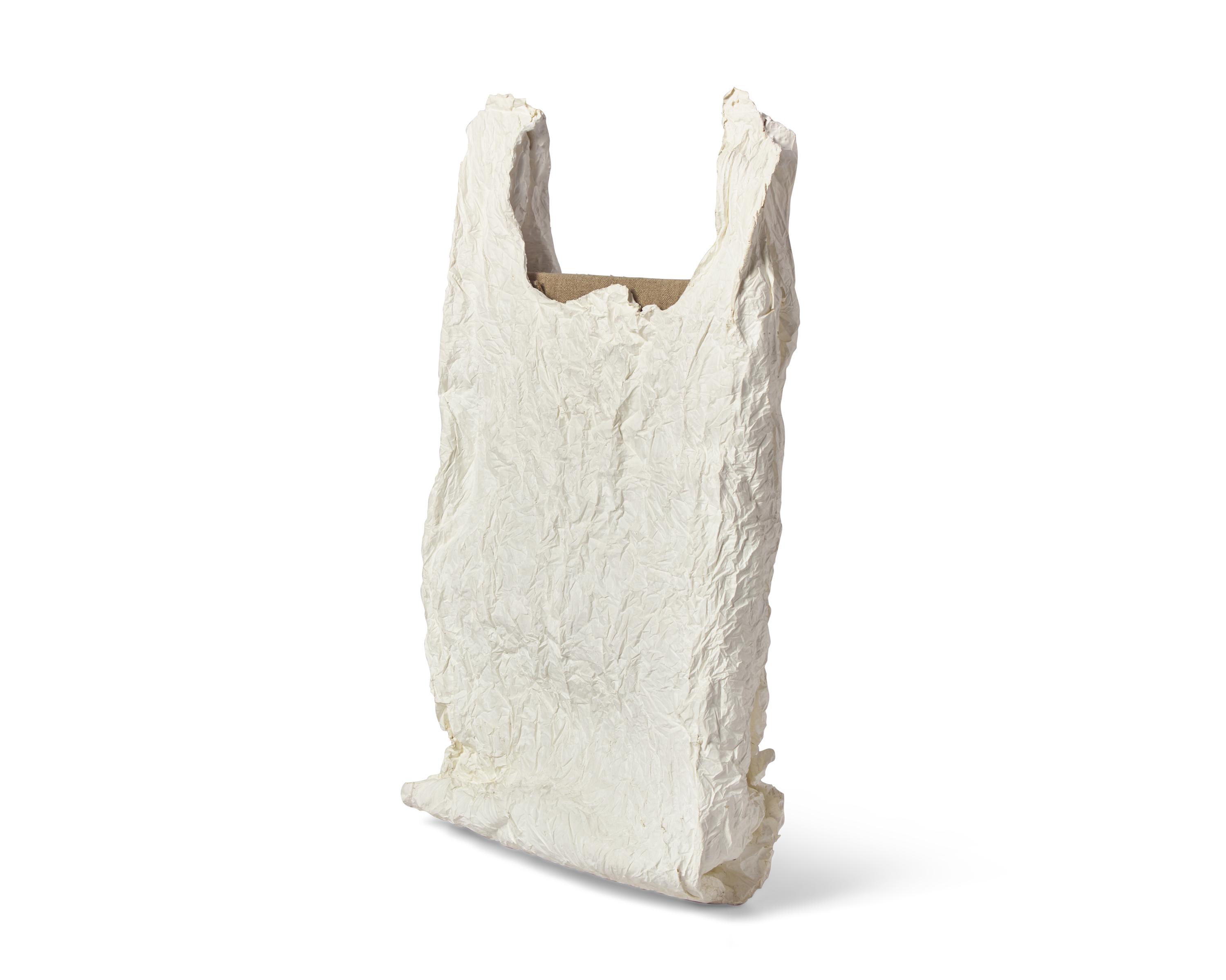 Bag With Canvas #1 , 2011