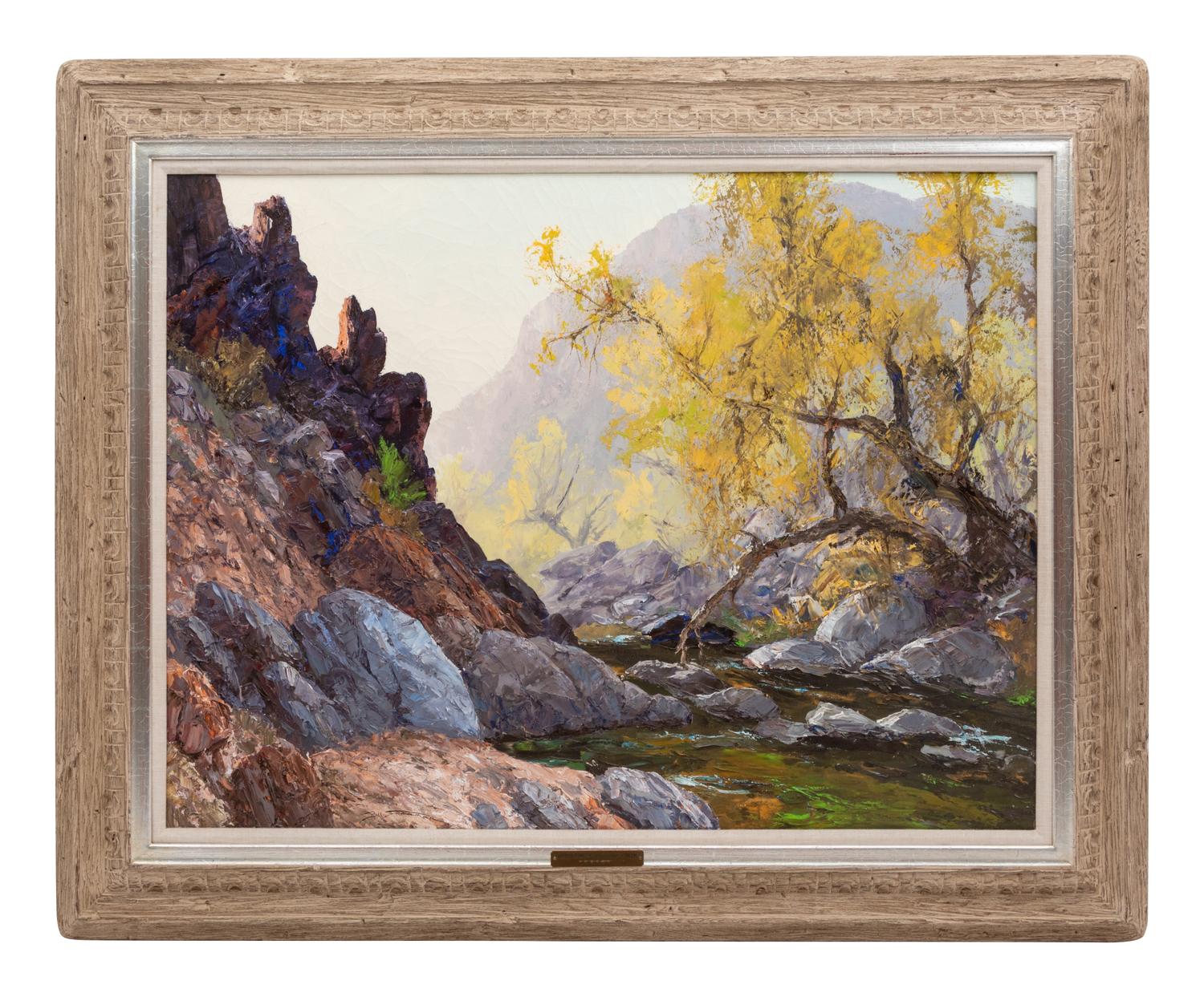 Springtime Along Cave Creek