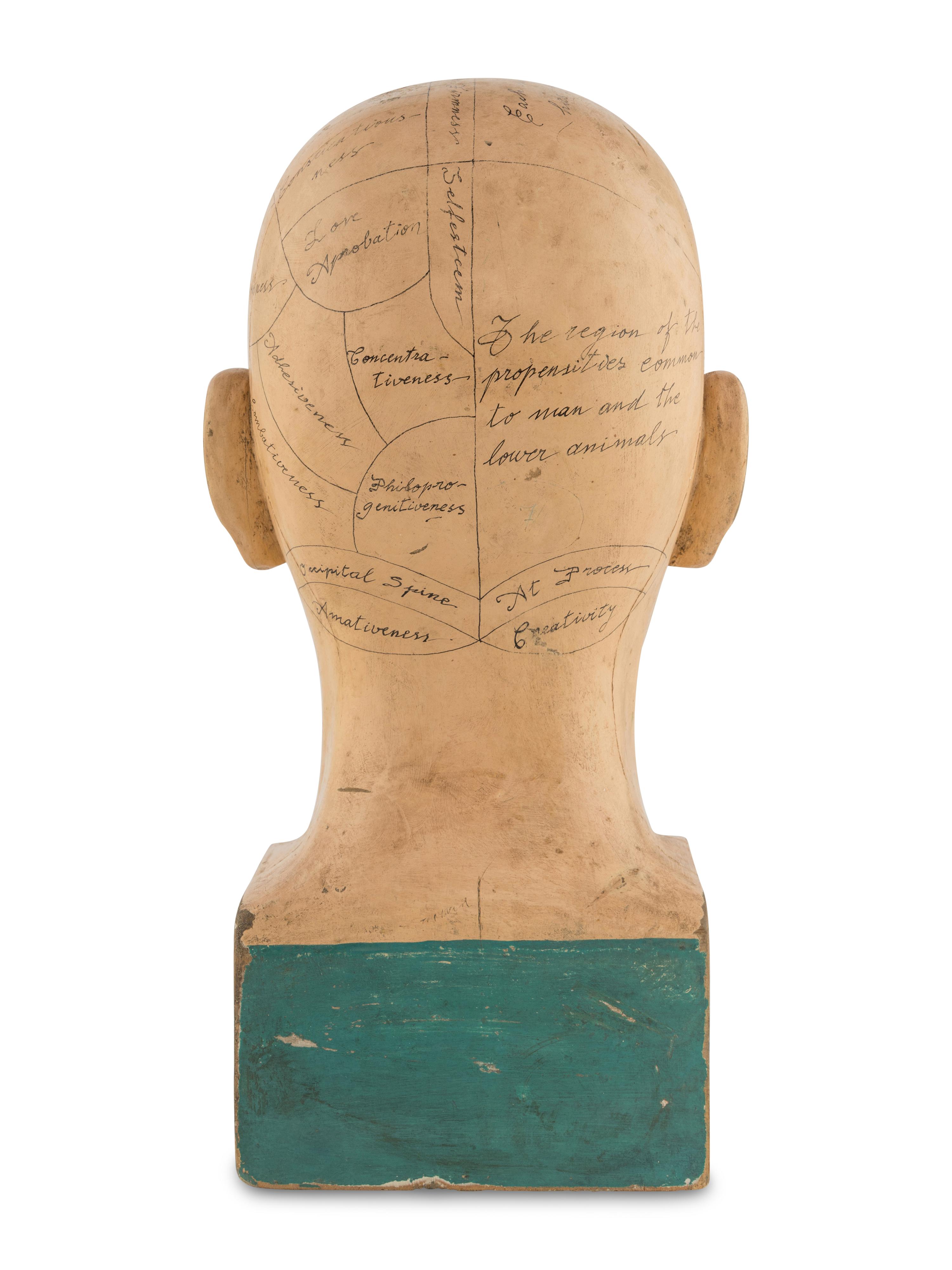 A Carved and Painted Wood Phrenology Head