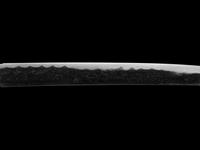 A Wakizashi