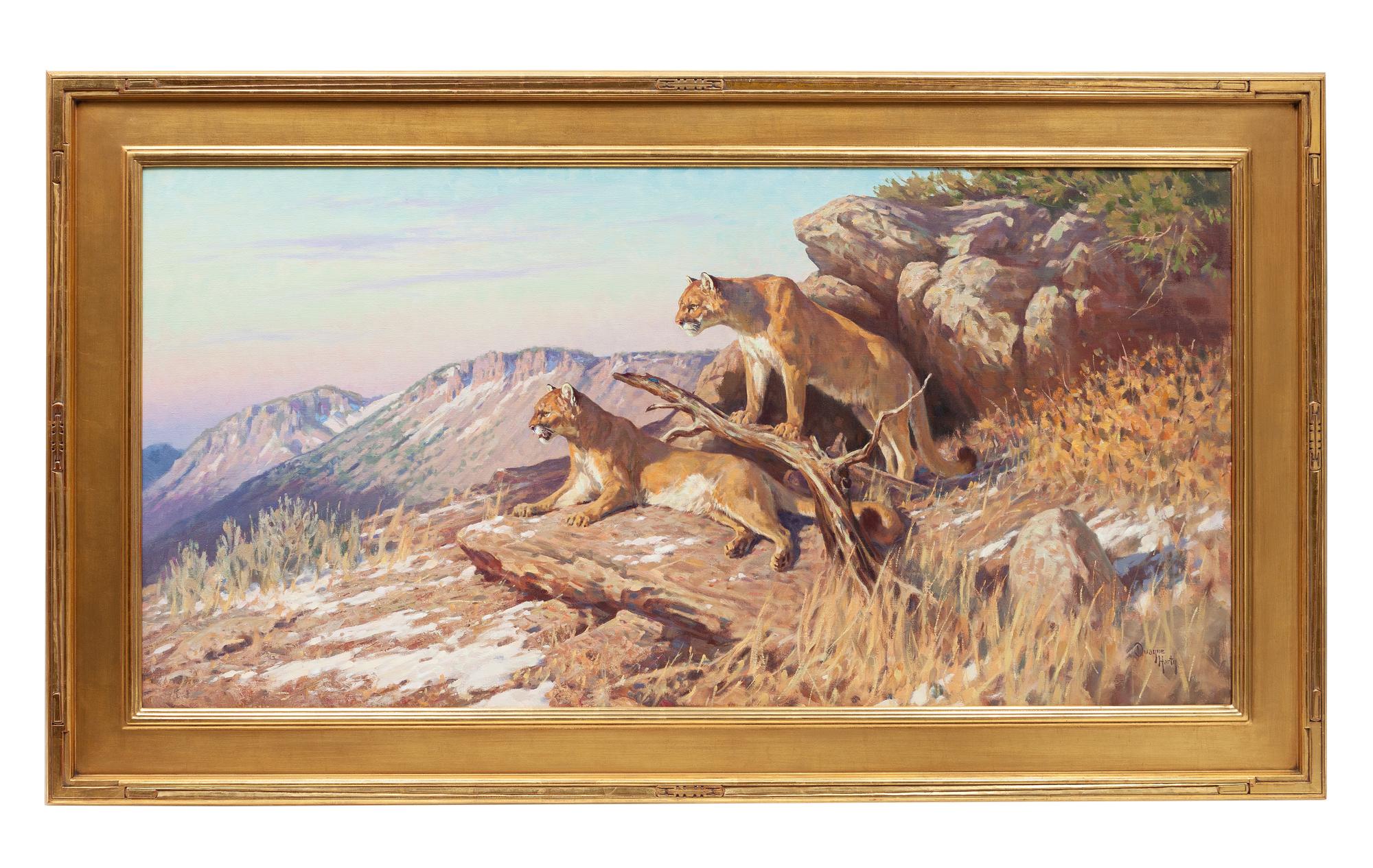 Two Cougars