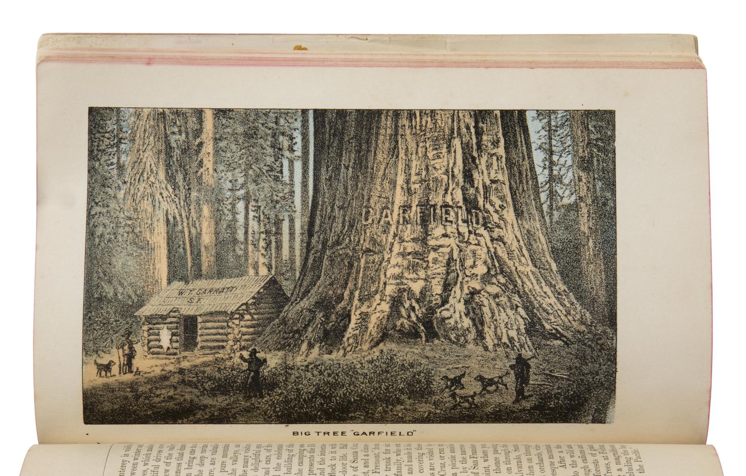 Griswold, Norman Whitmore (1843-1904). Beauties of California. Views and Descriptions of Yosemite Valley, Big Trees, Geysers, Lake Tahoe, Donner Lake, San Francisco... San Francisco: H.S. Crocker & Co., 1884.
