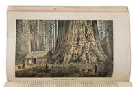 Griswold, Norman Whitmore (1843-1904). Beauties of California. Views and Descriptions of Yosemite Valley, Big Trees, Geysers, Lake Tahoe, Donner Lake, San Francisco... San Francisco: H.S. Crocker & Co., 1884.