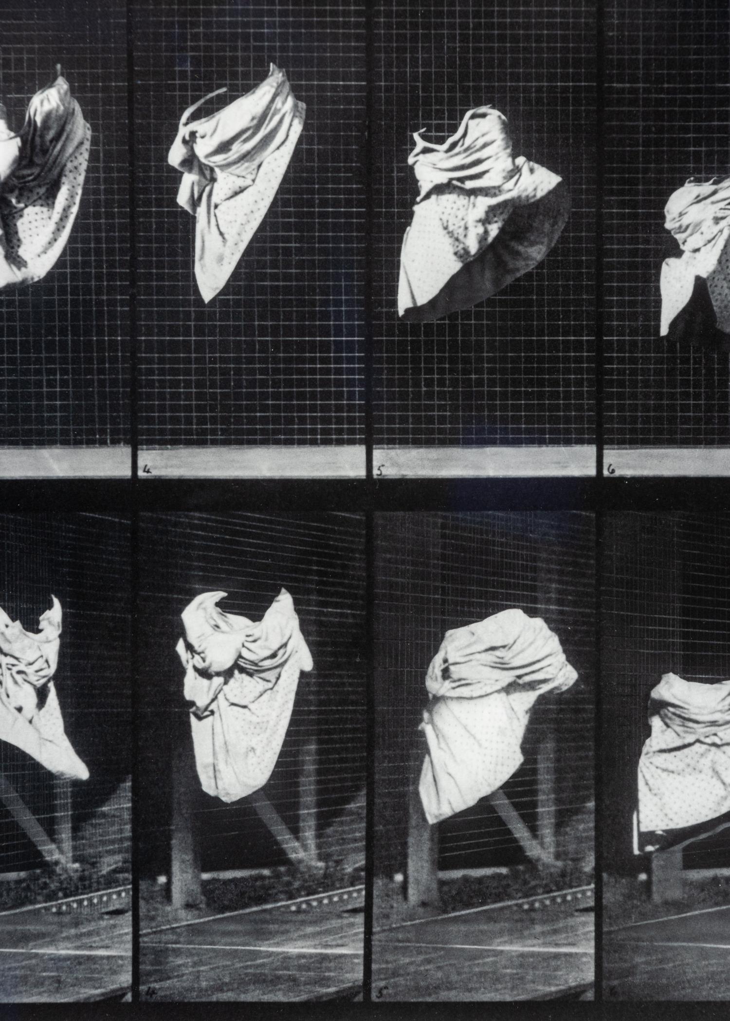 The Other Series: After Muybridge