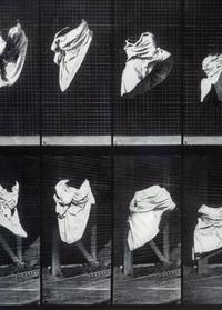 The Other Series: After Muybridge