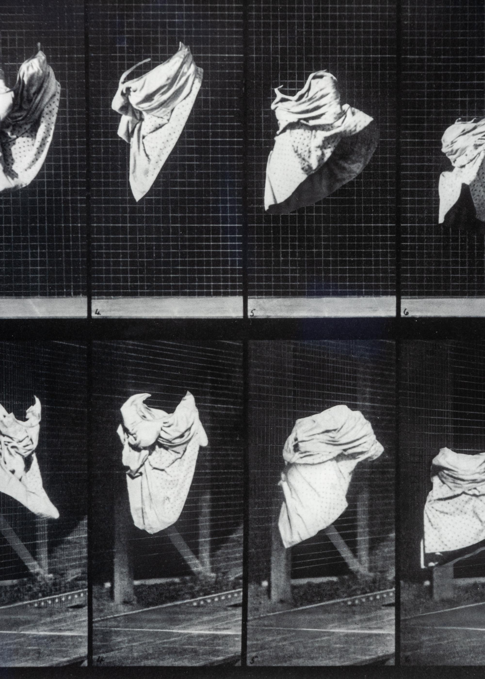 The Other Series: After Muybridge