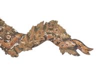 A French Carved and Polychrome Painted Wall Ornament