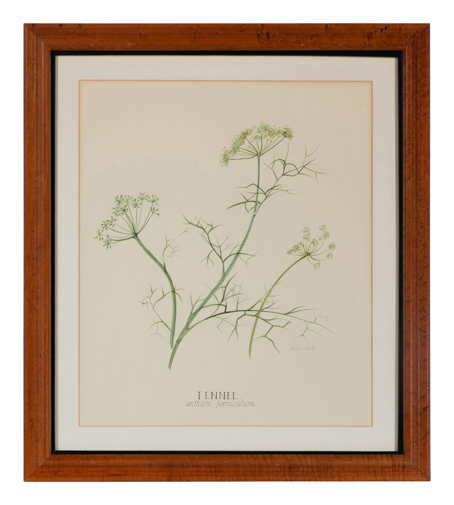 Four Louise Smith Watercolor Botanical Illustrations