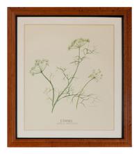 Four Louise Smith Watercolor Botanical Illustrations