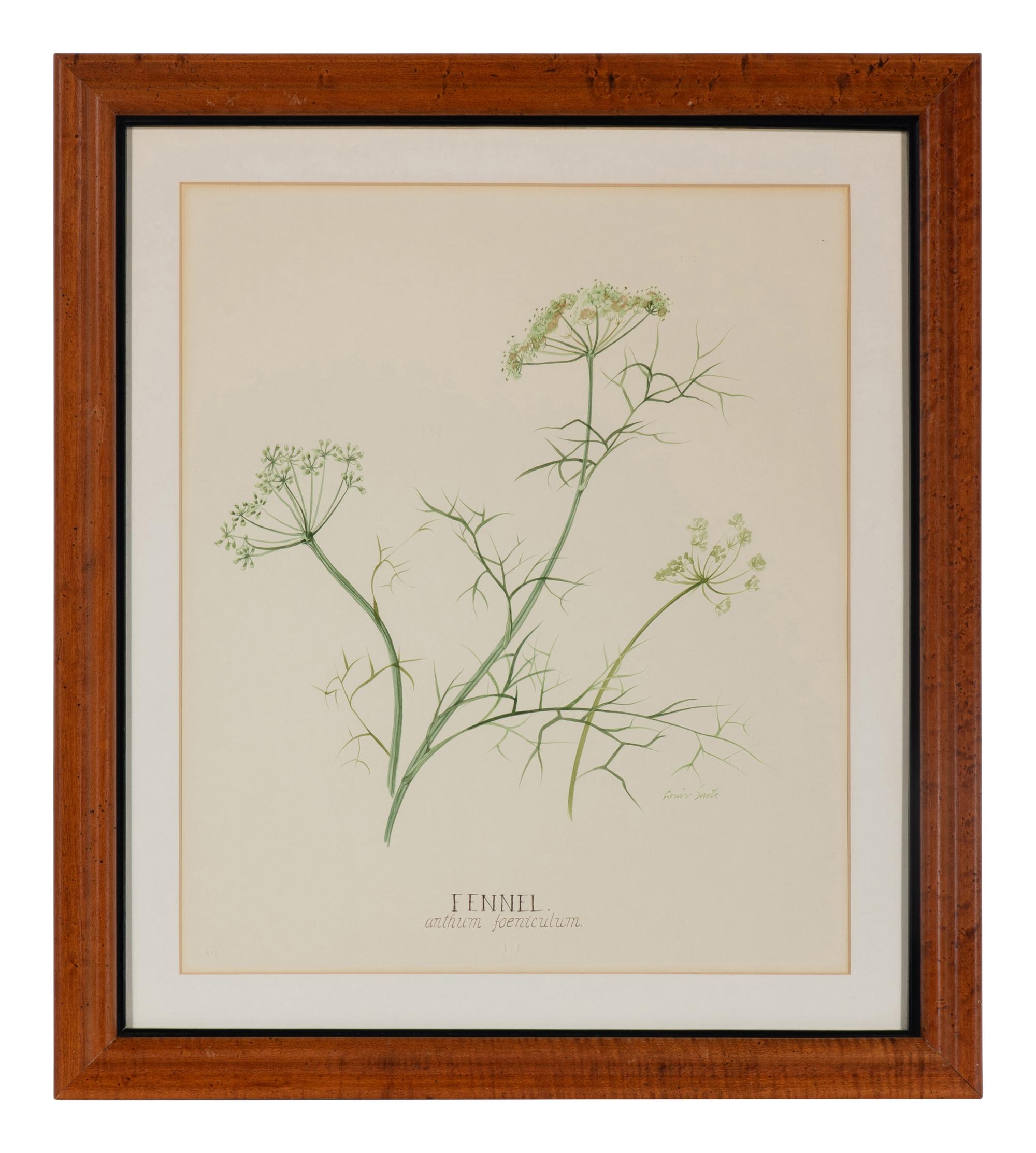 Four Louise Smith Watercolor Botanical Illustrations