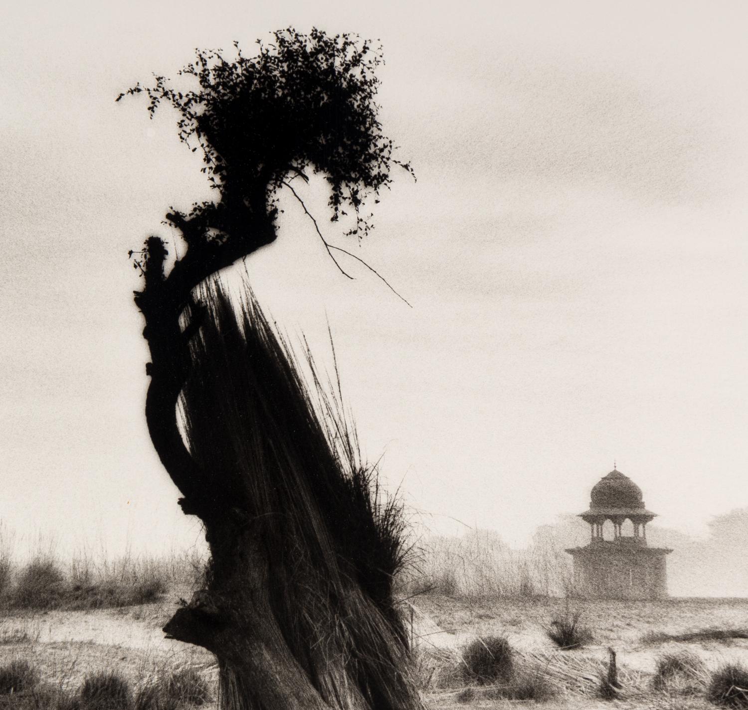 Shah Jahan's Tomb, Tree at Center, Agra , 1985, and Untitled (Garden) (Two Works)