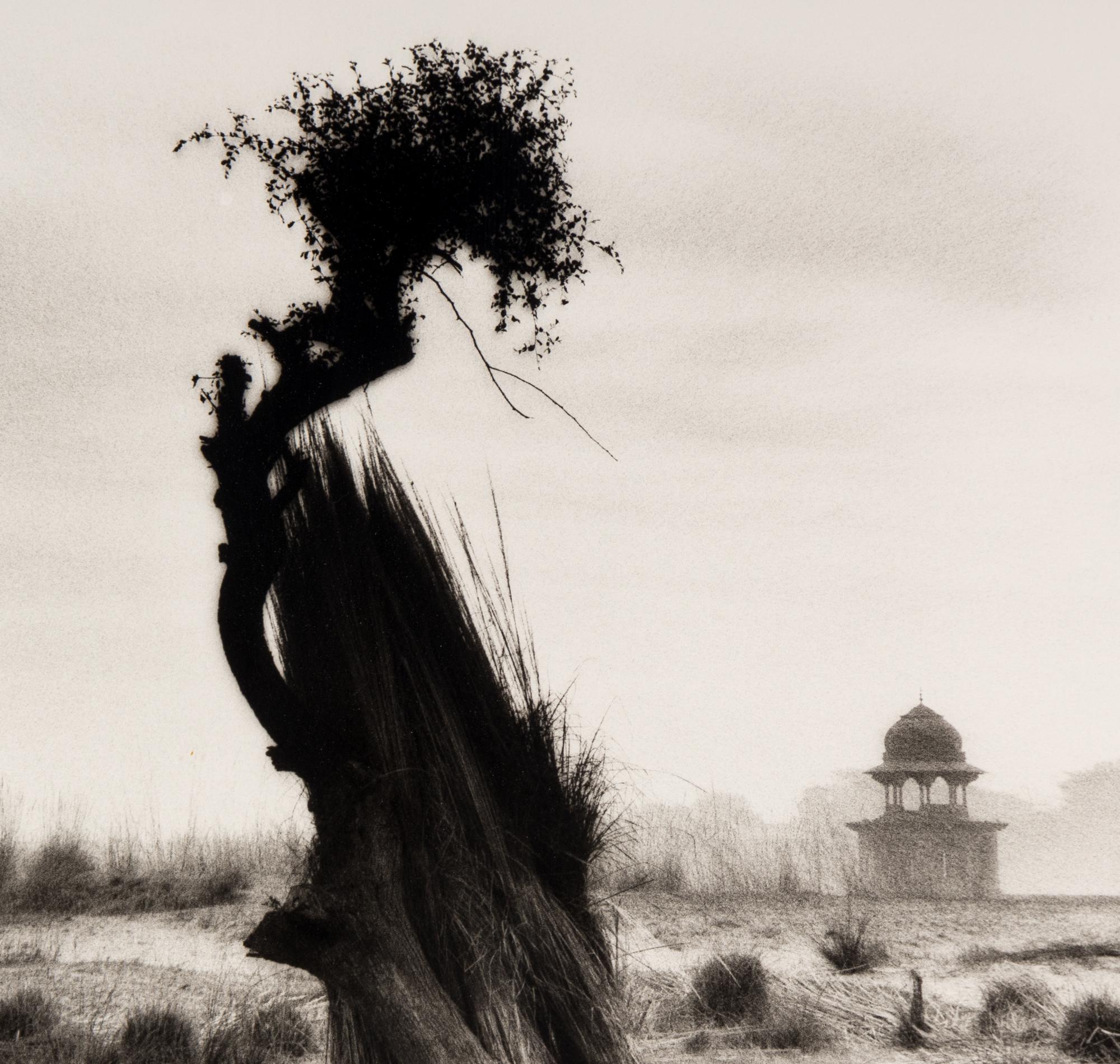 Shah Jahan's Tomb, Tree at Center, Agra , 1985, and Untitled (Garden) (Two Works)