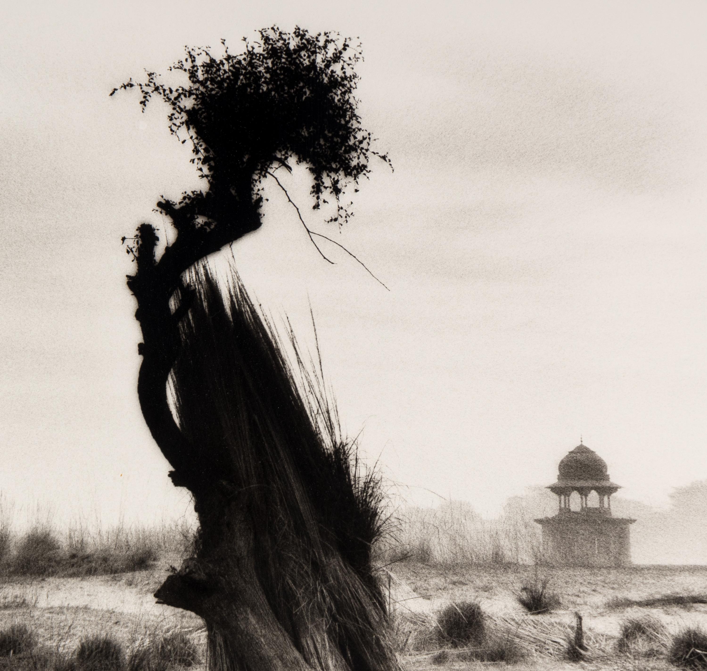 Shah Jahan's Tomb, Tree at Center, Agra , 1985, and Untitled (Garden) (Two Works)