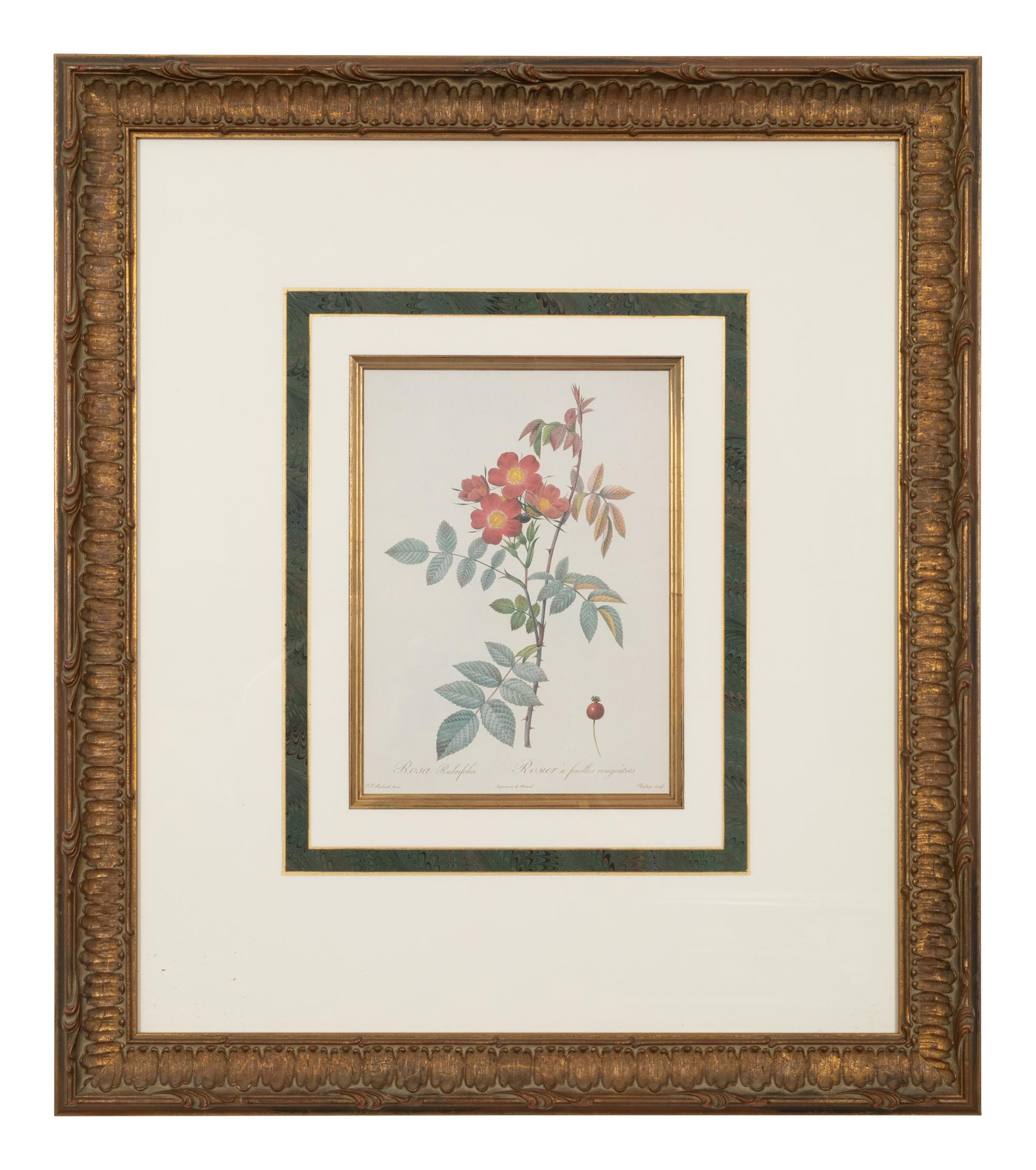 A Set of Six Chromolithographs of Roses after Pierre Joseph Redouté