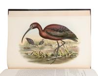 [NATURAL HISTORY]. GOULD, John (1804-1881). The Birds of Great Britain . London: Taylor and Francis, [1862-] 1873.