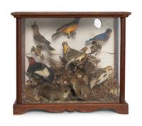 A Victorian Taxidermy Diorama