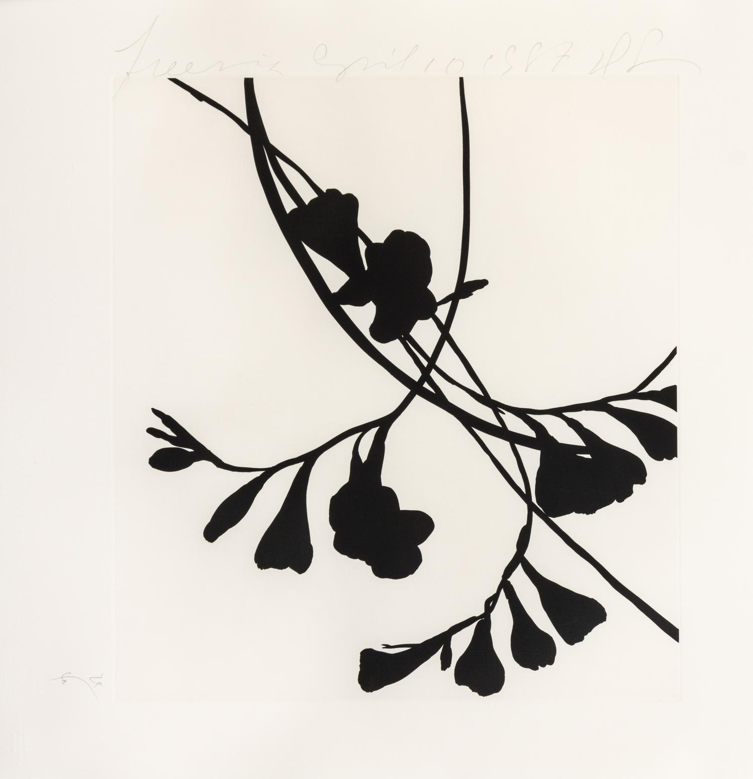 Donald Sultan, (American, b. 1951), Black Freesias, 1987 (portfolio of 6)