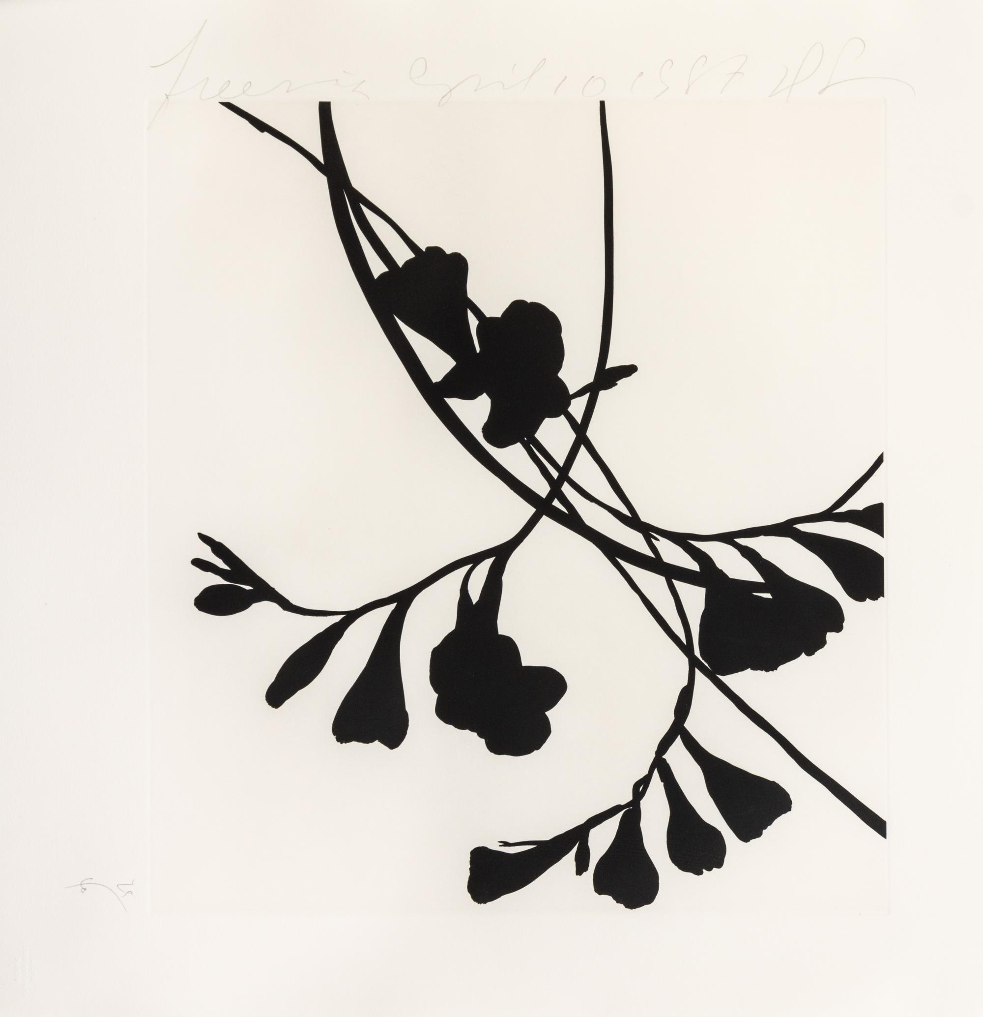 Donald Sultan, (American, b. 1951), Black Freesias, 1987 (portfolio of 6)