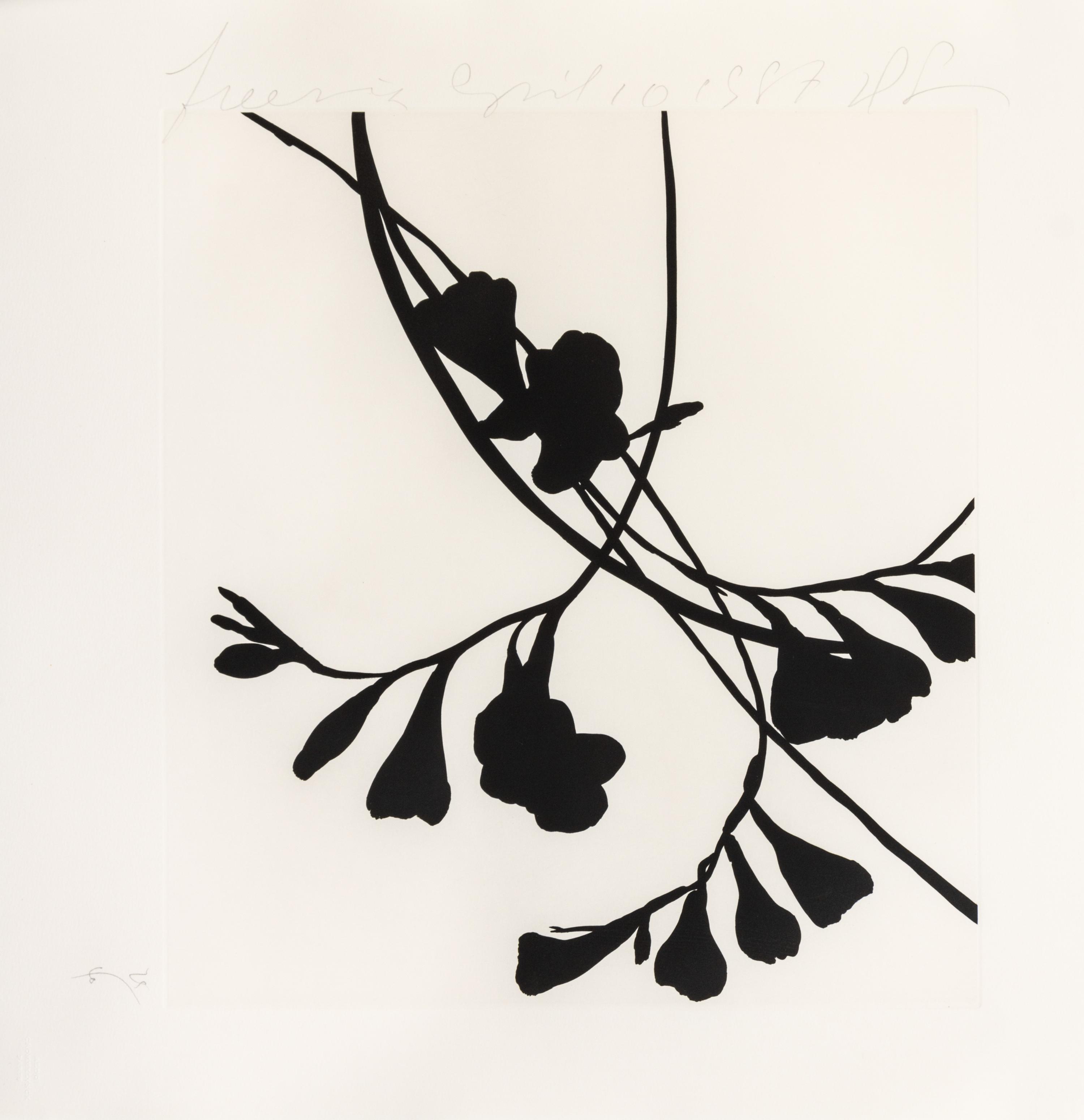 Donald Sultan, (American, b. 1951), Black Freesias, 1987 (portfolio of 6)