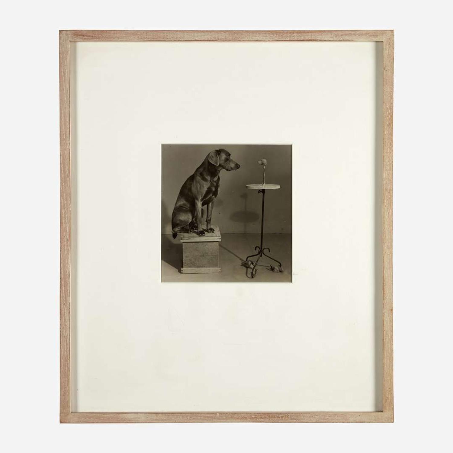 William Wegman (American, B. 1943) Contemplating the Bust of Man Ray (Plate VI from Man Ray: A Portfolio of 10 Photographs)