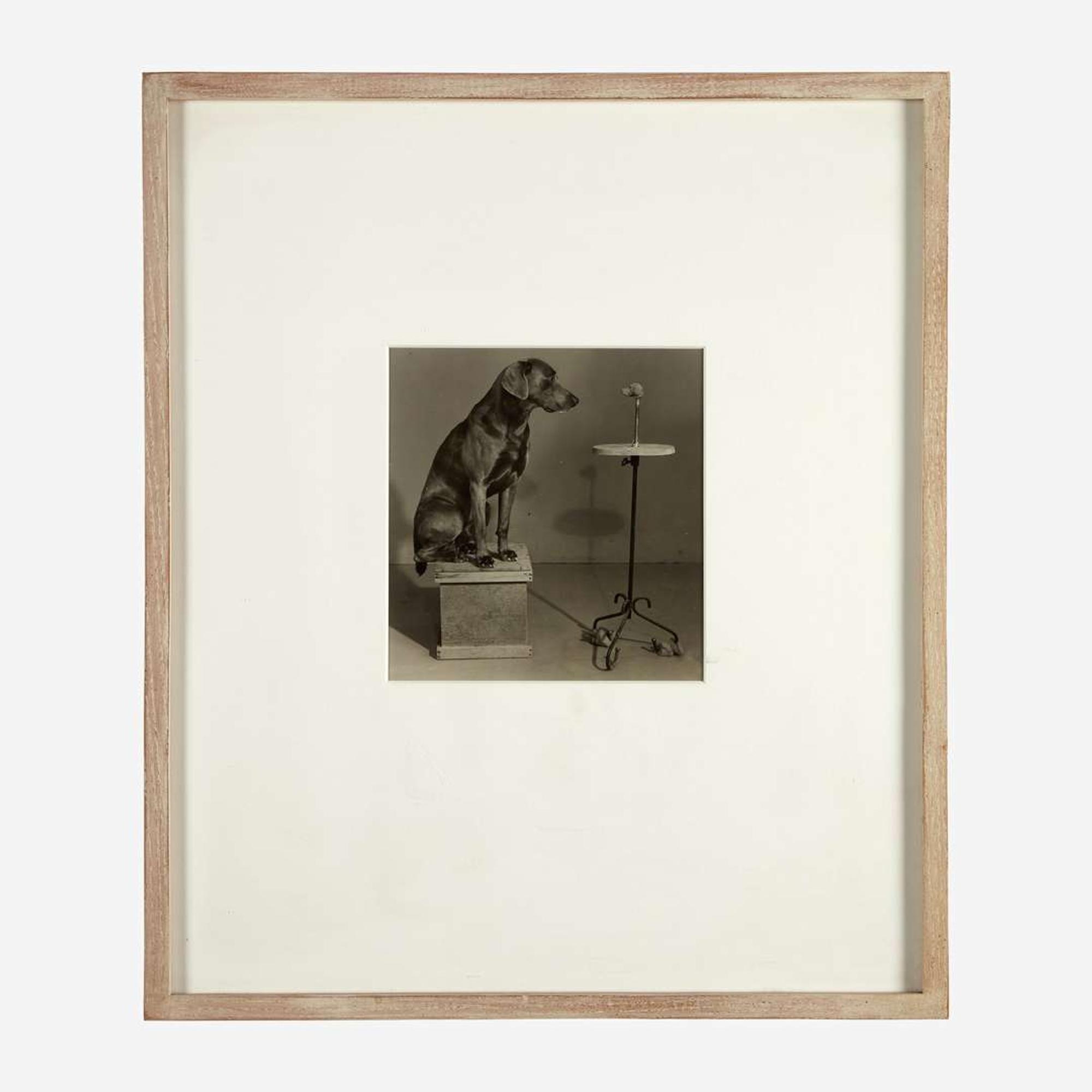 William Wegman (American, B. 1943) Contemplating the Bust of Man Ray (Plate VI from Man Ray: A Portfolio of 10 Photographs)