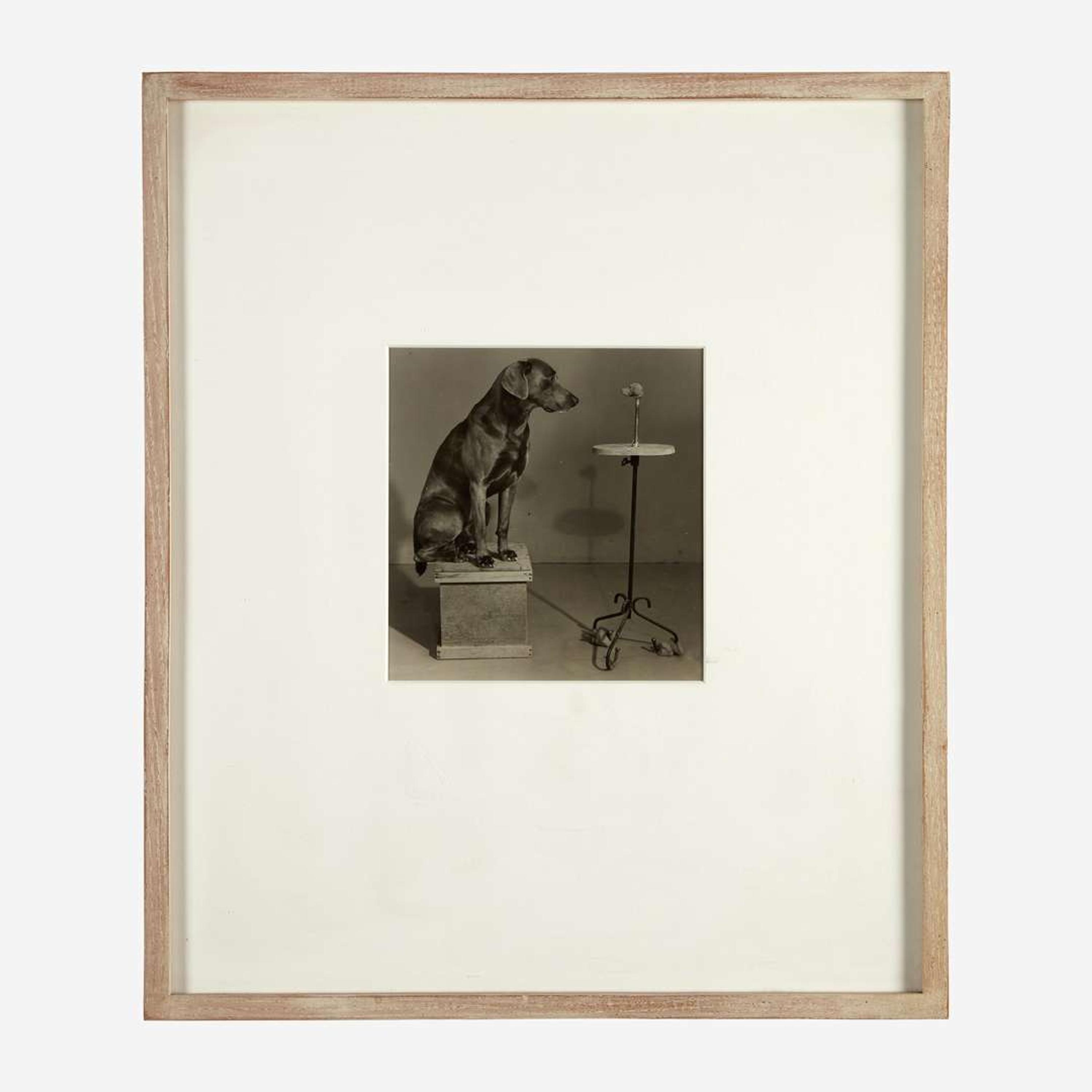 William Wegman (American, B. 1943) Contemplating the Bust of Man Ray (Plate VI from Man Ray: A Portfolio of 10 Photographs)