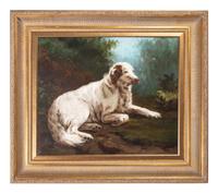 A Portrait of a Spaniel