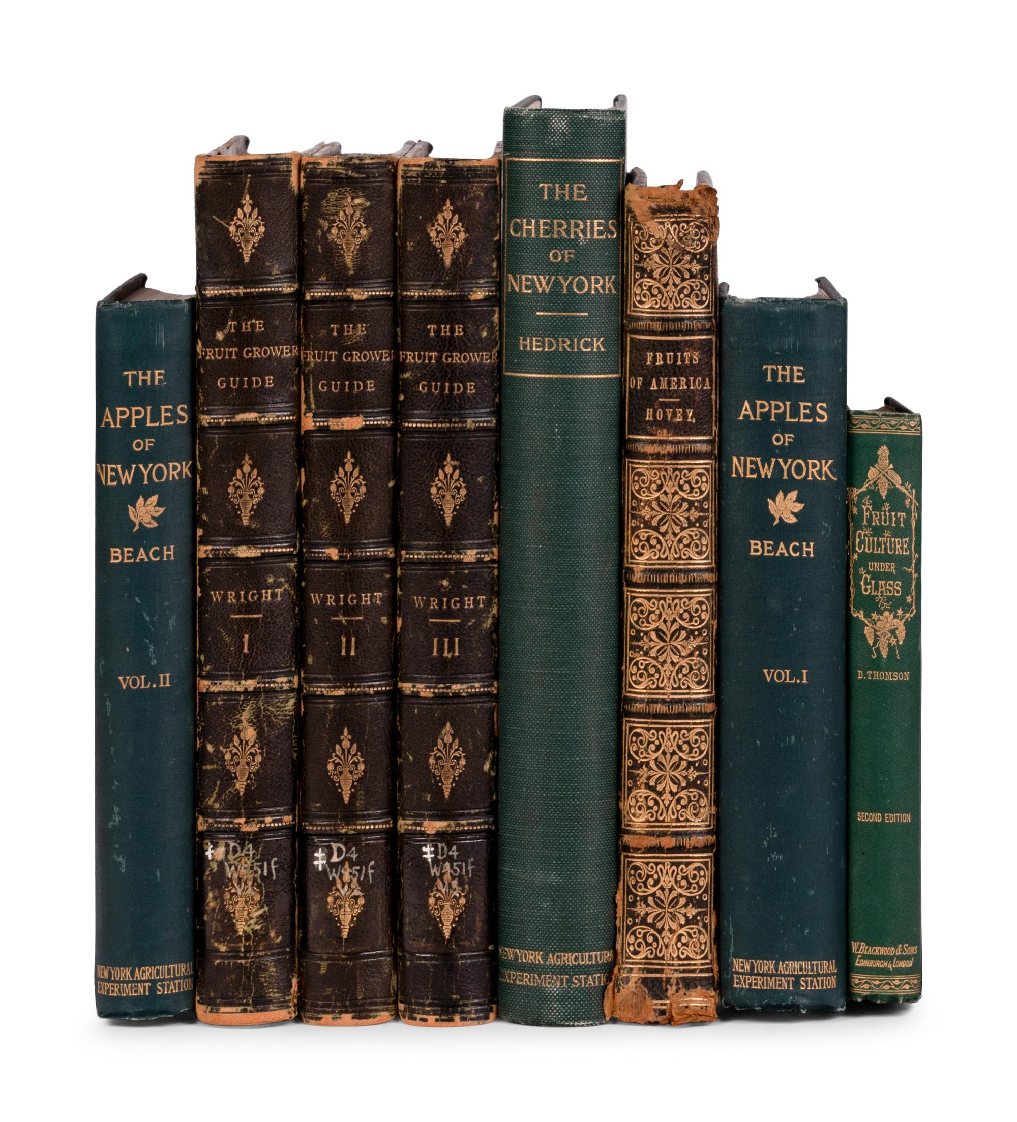[NATURAL HISTORY - POMOLOGY]. A group of 7 works, including: