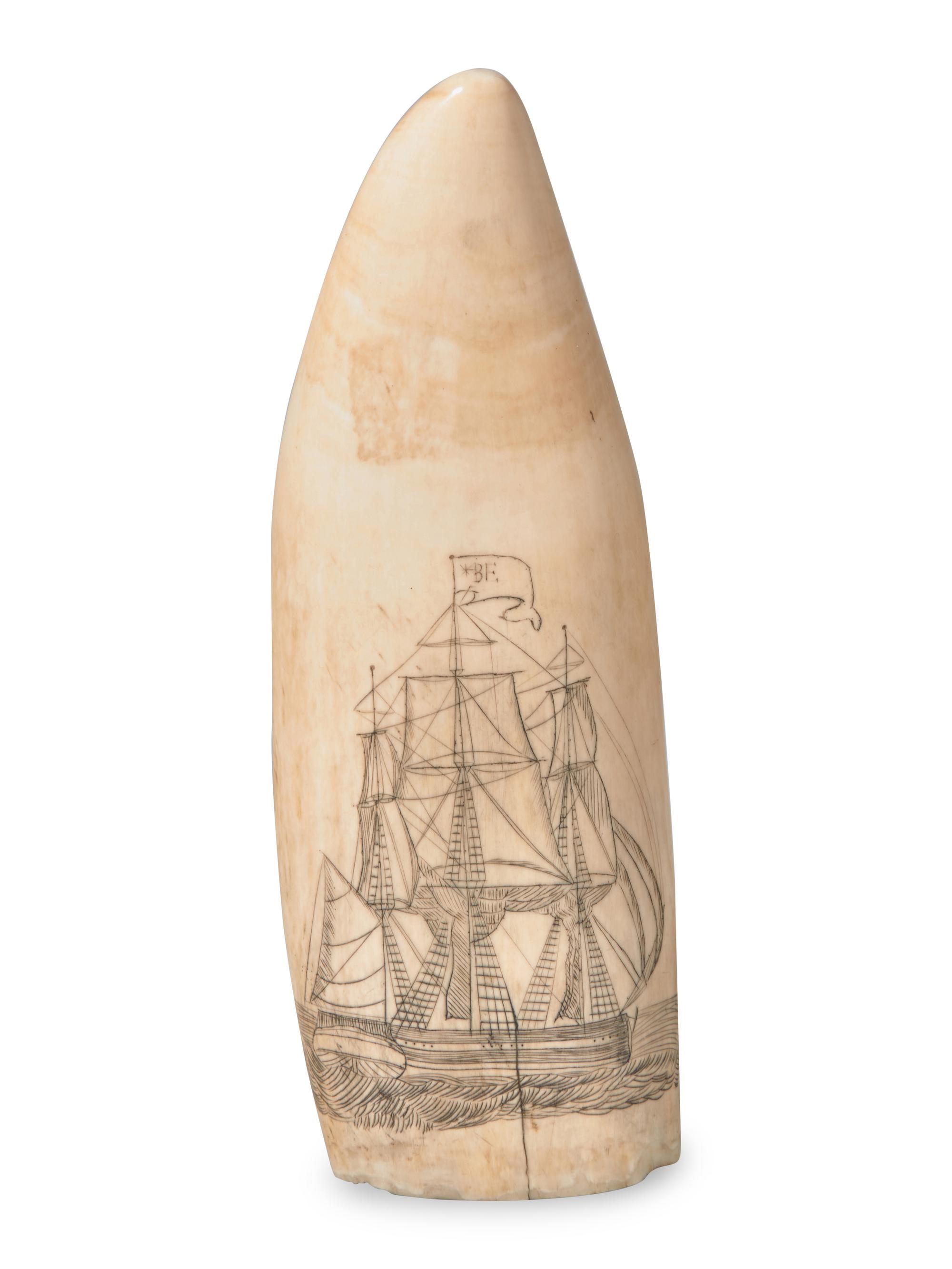A Scrimshaw Whale's Tooth, 19th Century