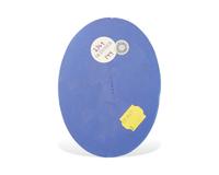 A Wedgwood Jasperware Oval Plaque