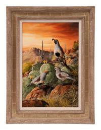 Gambel Quail